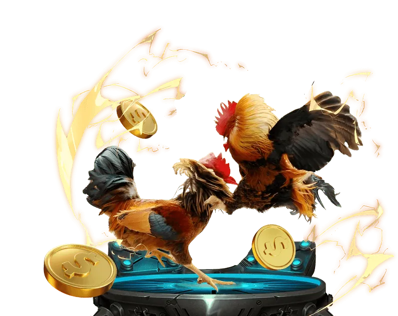 Sự kiện độc quyền và quà tặng 5fit